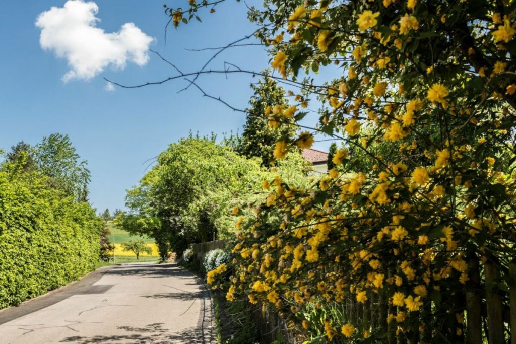 4 Etagen zum Geniessen & Aufblühen - Bild 1