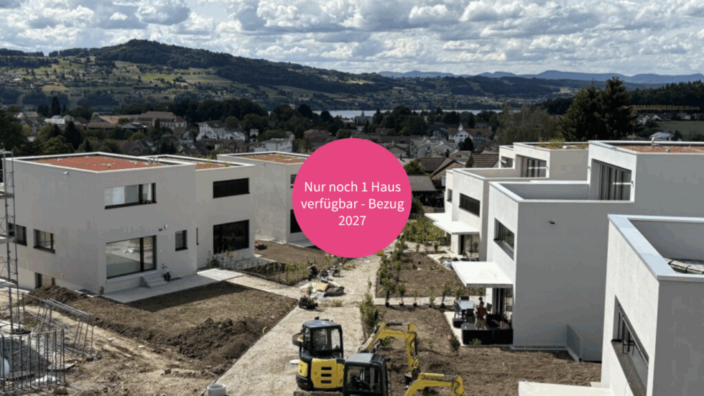 Letzte Gelegenheit - Ihr Zuhause mit Blick zum Hallwilersee -  Bild 1