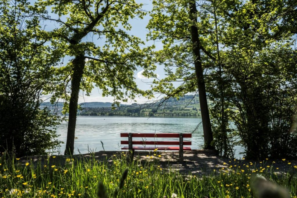 Neubau-Einfamilienhaus an familienfreundlicher Lage - Bild 3