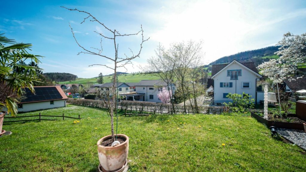 Baulandparzelle für ihre Traumhäuser - Bild 2