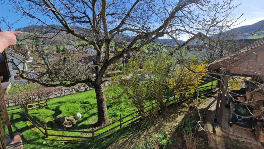 Baulandparzelle für ihre Traumhäuser - Bild 3