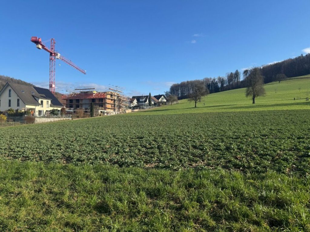 Steuergünstig Wohnen in Weiach: 4.5-Zimmer-Neubauwohnung -  Bild 2