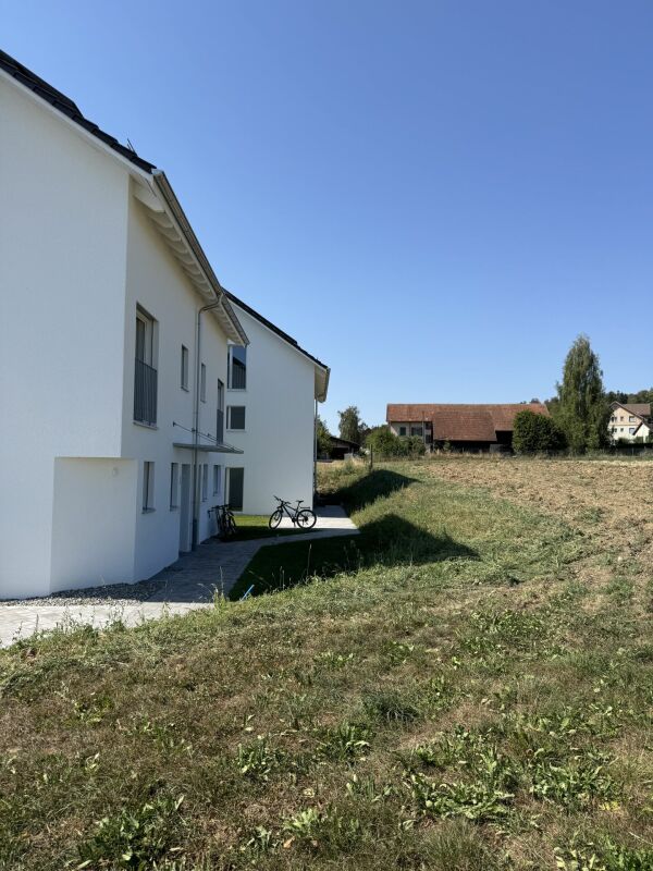 Alpenblick Wetzikon TG -  Bild 5