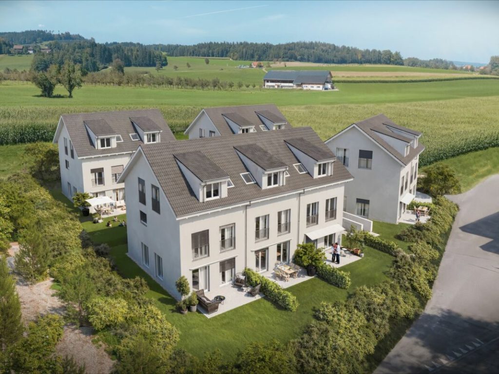 Neubau Doppel- und Dreifamilienhäuser in Wetzikon TG - Bild 1